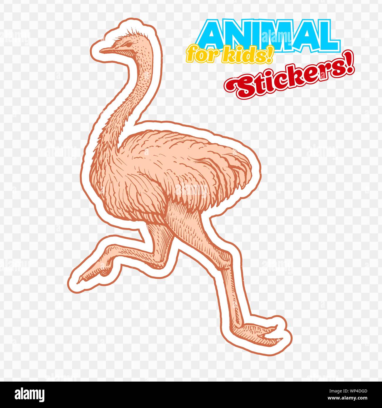 Farm Animal Strauß in Skizze Stil auf bunten Aufkleber. Auf transparentem Hintergrund isoliert. Kann für cute Malbuch für Kinder verwendet werden. Gehören Silhouette für Papier schneiden Stock Vektor