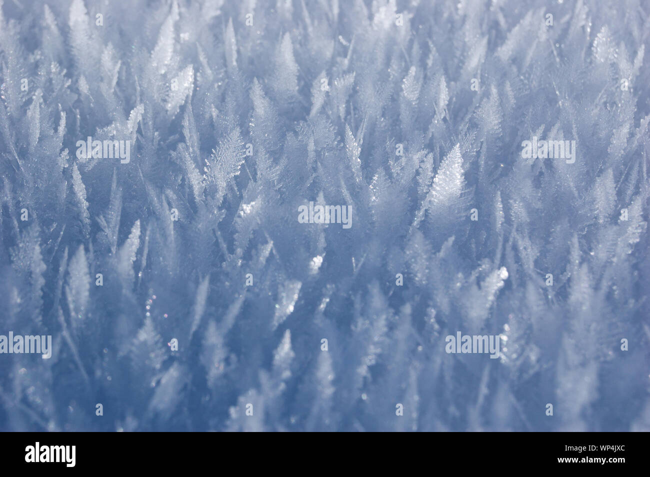 Abstrakte winter Textur. Raureif Nahaufnahme Stockfoto