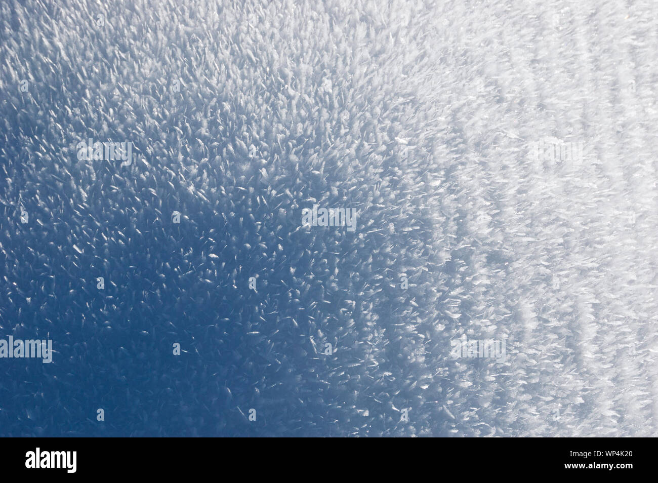 Textur von Raureif. Abstrakte winter Hintergrund für Design Stockfoto