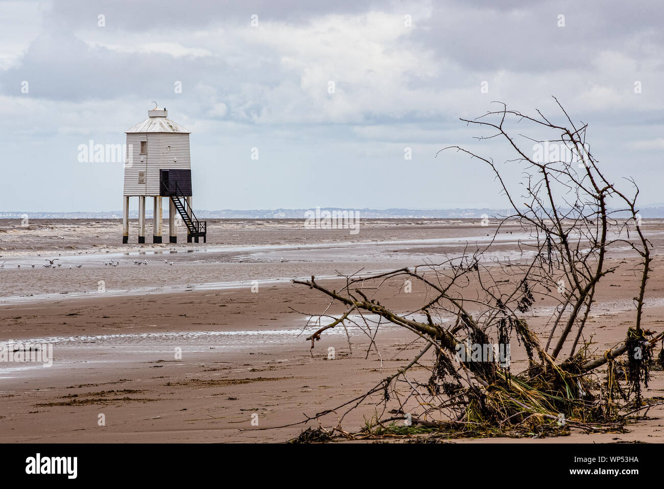 Burnham on Sea Leuchtturm mit einem toten Bush an Land in den Vordergrund gewaschen. Stockfoto