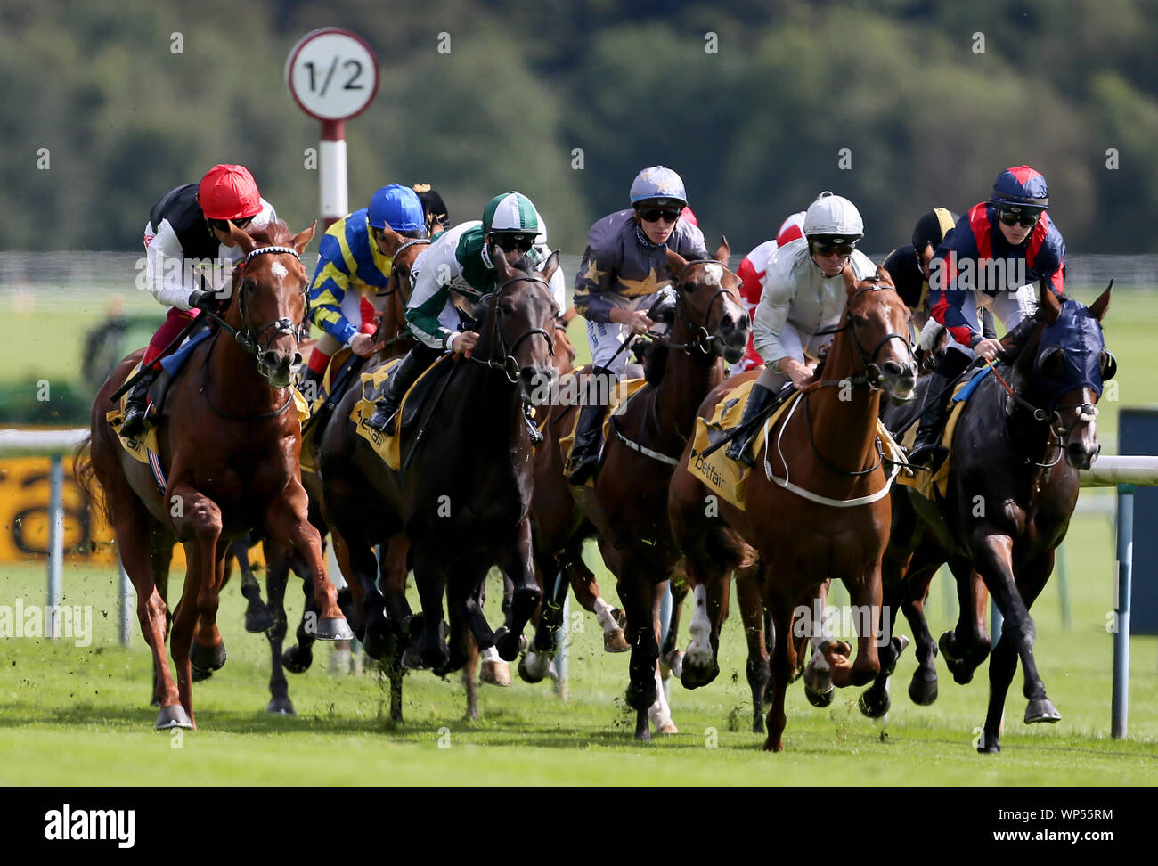 Läufer und Reiter während der bessere Chancen auf den Betfair Exchange Handicap in Haydock Park Racecourse. Stockfoto