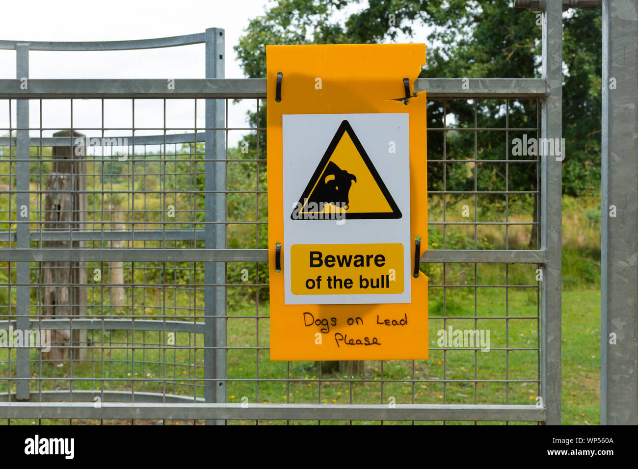 Vorsicht vor dem Stier Zeichen signage auf ein Tor Stockfoto