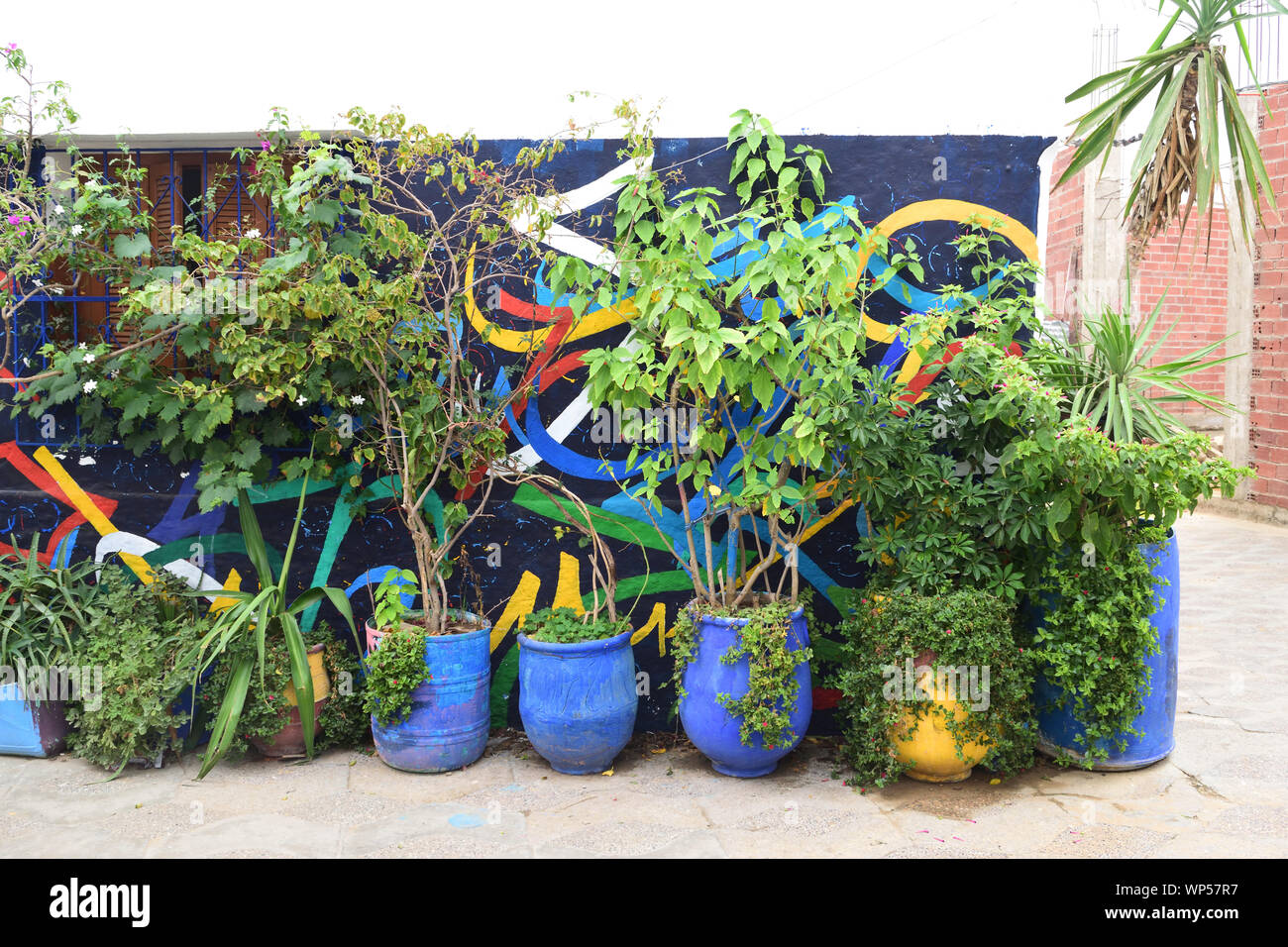 Pflanzen in einem blauen, recycelten Topf Stockfoto
