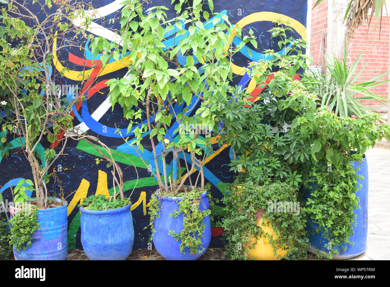 Pflanzen in einem blauen, recycelten Topf Stockfoto