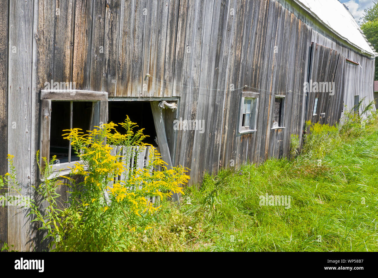 Adair, Michigan - einem alten, verfallenen Scheune. Stockfoto