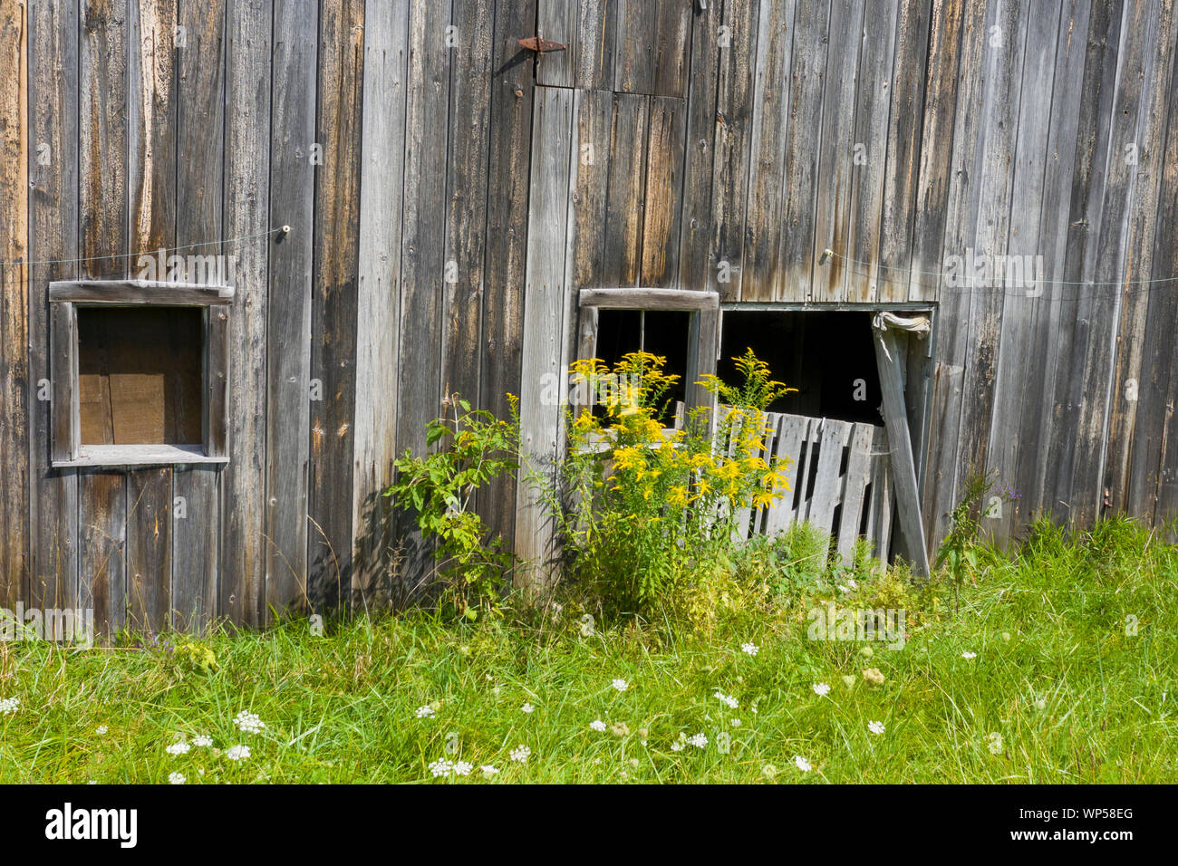 Adair, Michigan - einem alten, verfallenen Scheune. Stockfoto