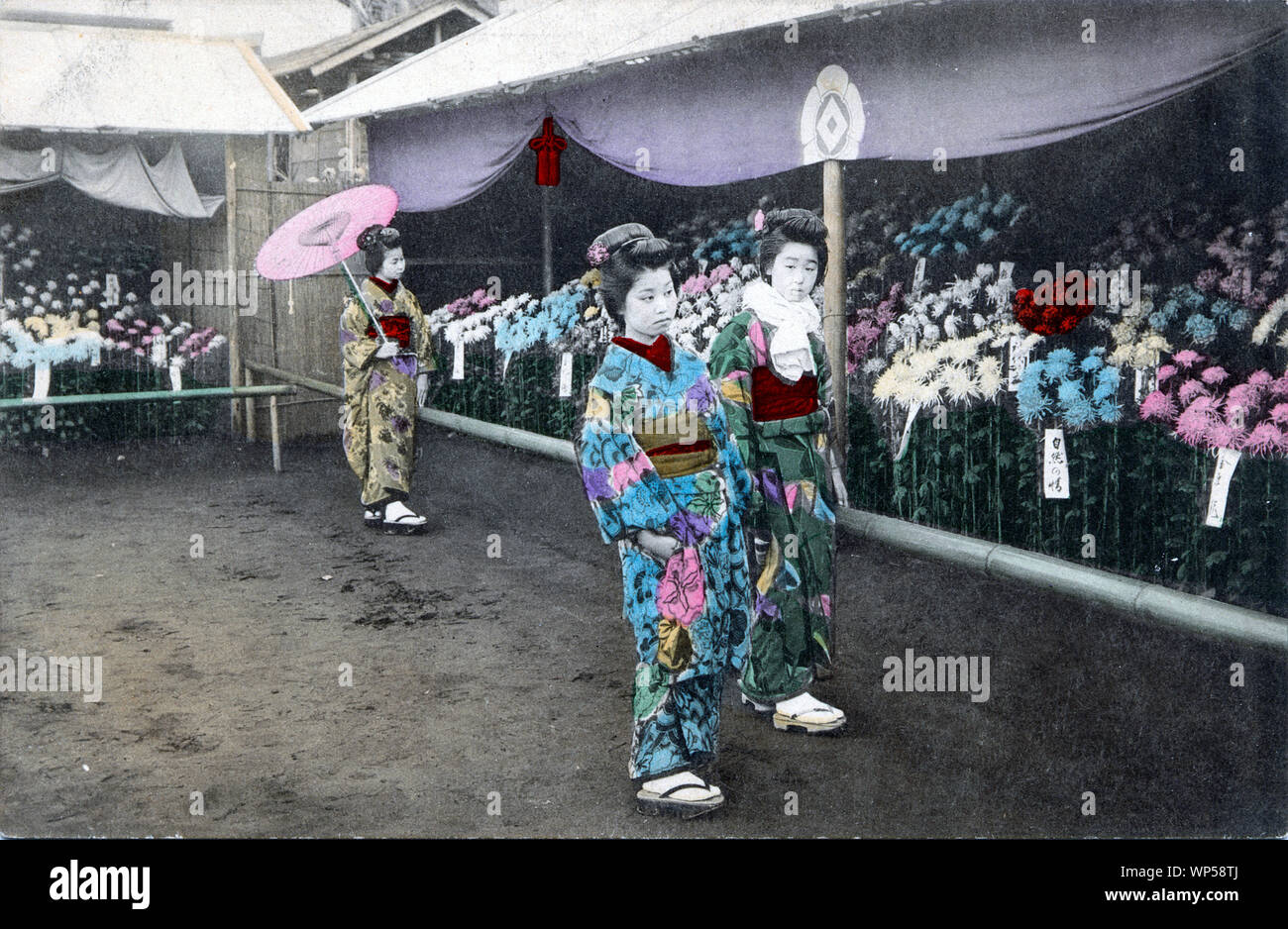 [1910s Japan - Japanische Frauen an der Chrysantheme Display] - Drei Frauen im Kimono, einer Holding einen Sonnenschirm an einem chrysantheme anzeigen. 20. jahrhundert alte Ansichtskarte. Stockfoto