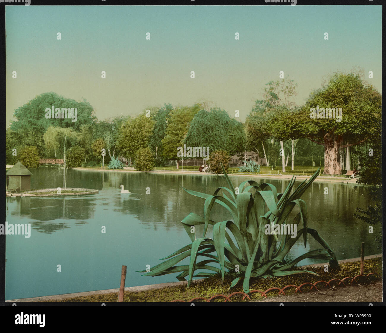 Kairo, Jardin Esbekieh Stockfoto