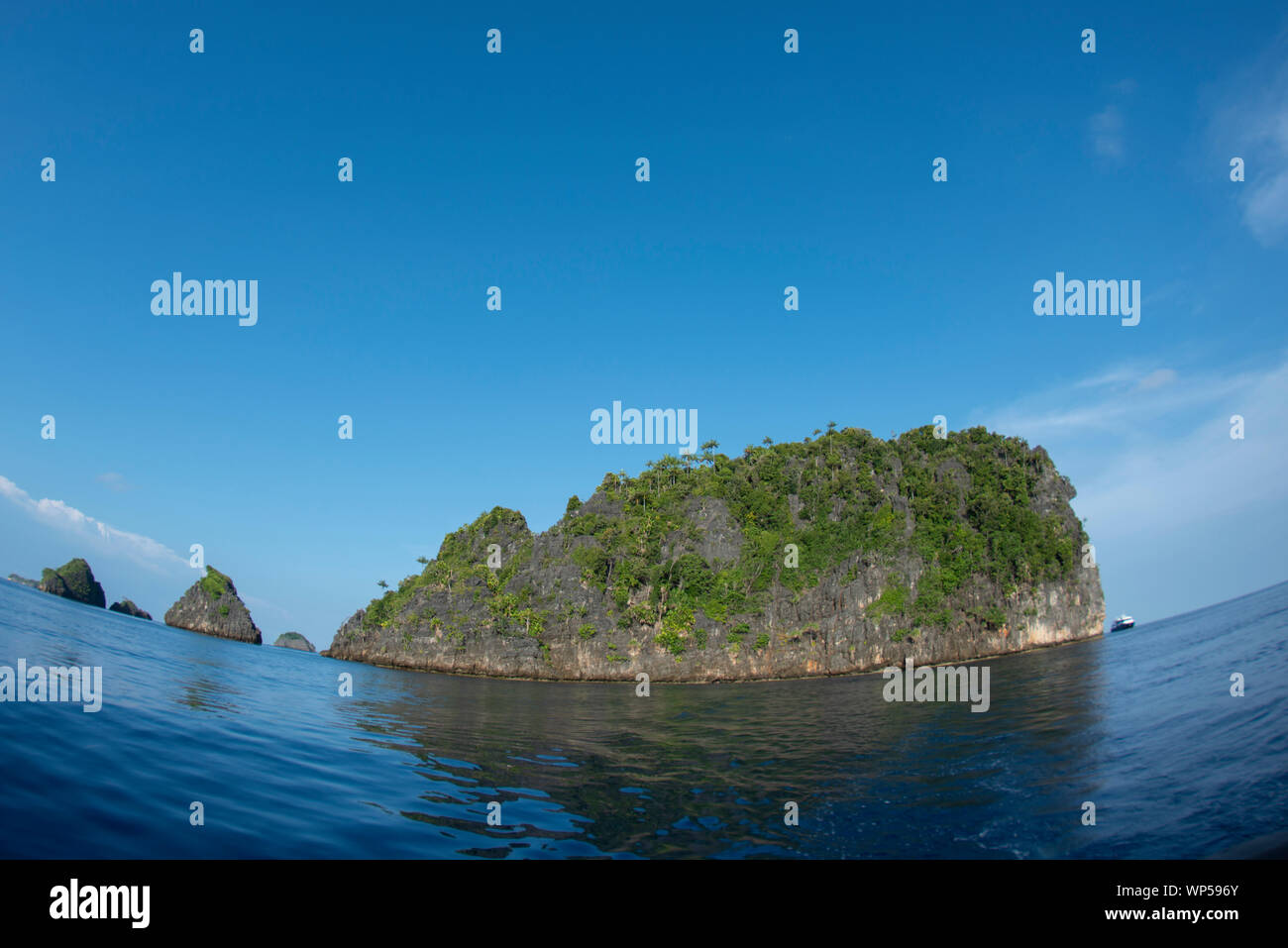 Kalkstein pinnacle Inseln, Raja Ampat, West Papua, Indonesien Stockfoto