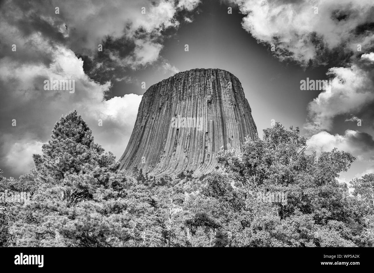 Devil's Tower National Monument an einem wunderschönen Sommertag, USA. Stockfoto