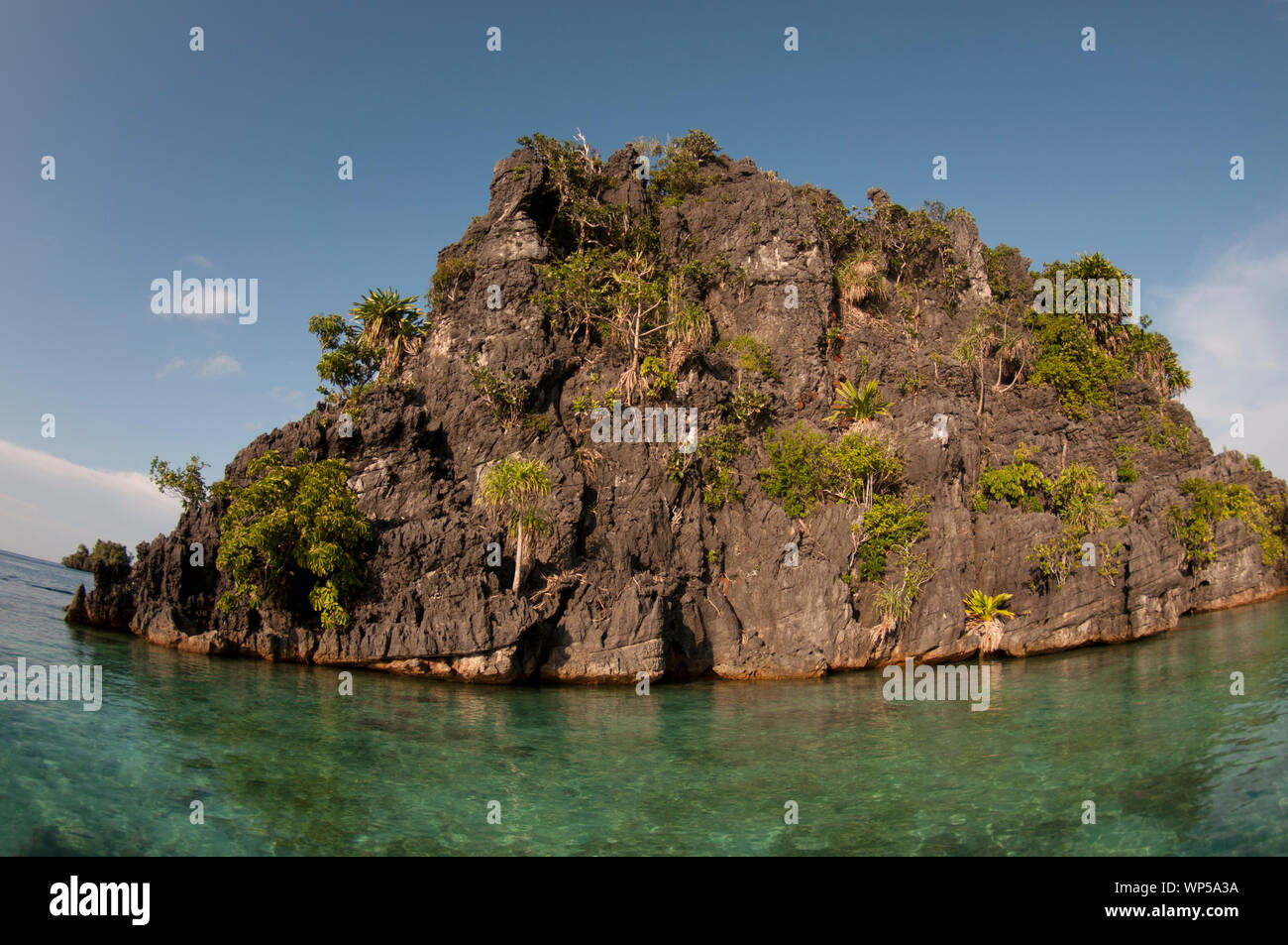 Kalkstein pinnacle Insel mit Coral im Vordergrund, Raja Ampat, West Papua, Indonesien Stockfoto