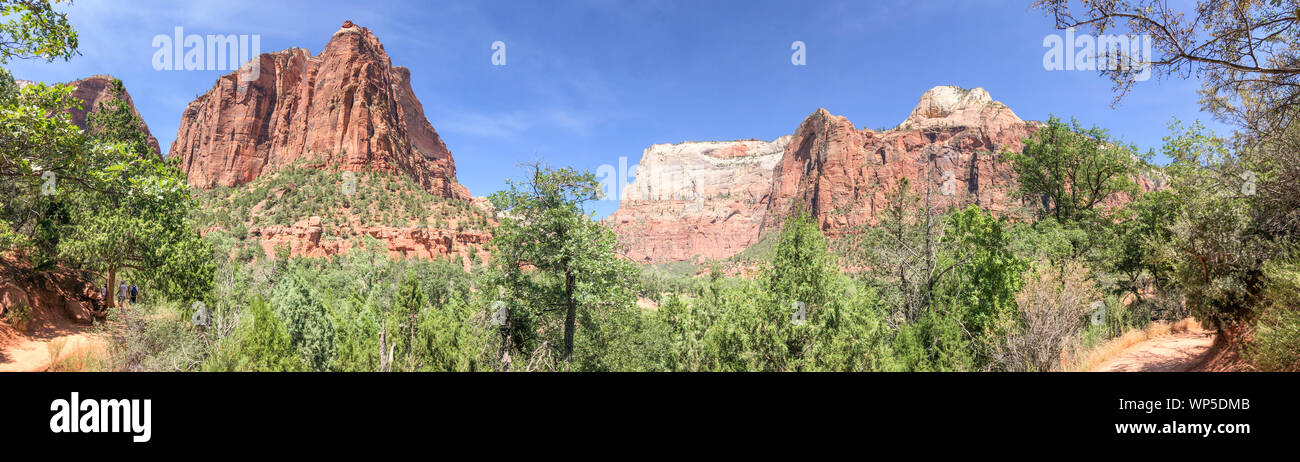 Haufen Canyon im Zion National Park. Panoramablick. Stockfoto