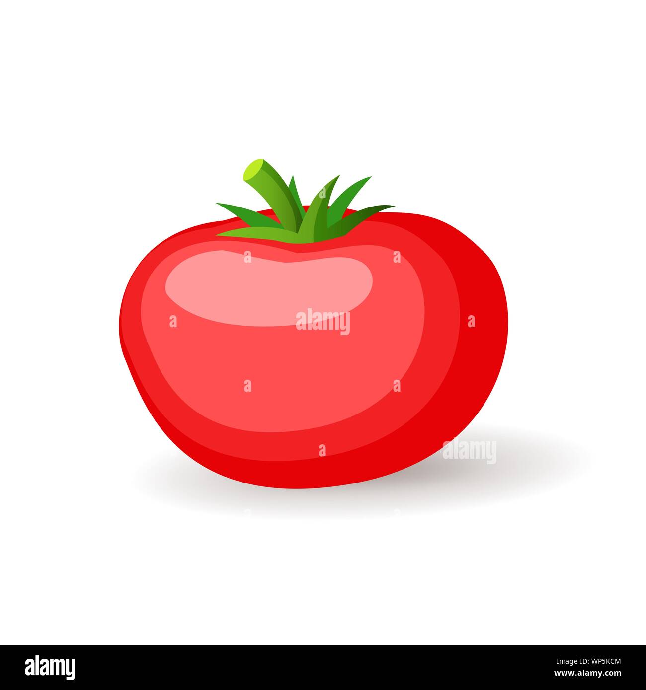 Große rote tomatoe Symbol isoliert, frisches Gemüse, biologisch gesundes Essen, Vector Illustration. Stock Vektor