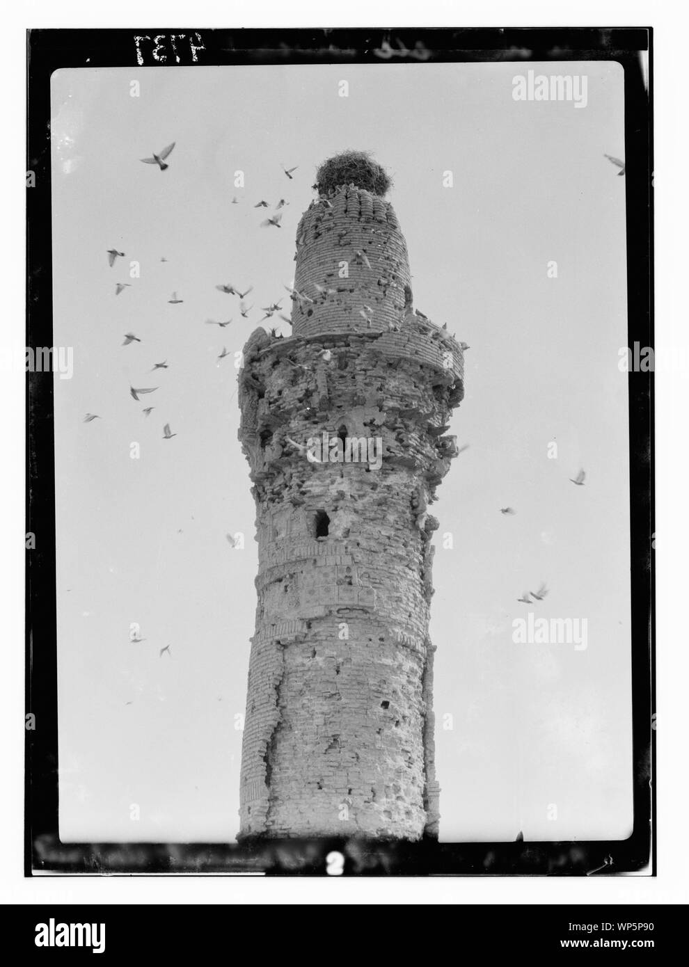 Kifl. Moslemische [i.e, Muslim] Minarett. Durch unzählige Tauben bewohnt und durch ein Storchennest gekrönt Stockfoto