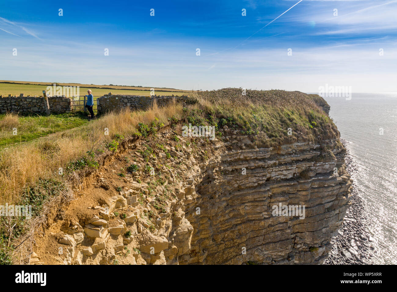 Die Wales Küste in der Nähe von Nash Point Lighthouse mit Blick auf den Kanal von Bristol, Glamorgan, Wales, Großbritannien Stockfoto