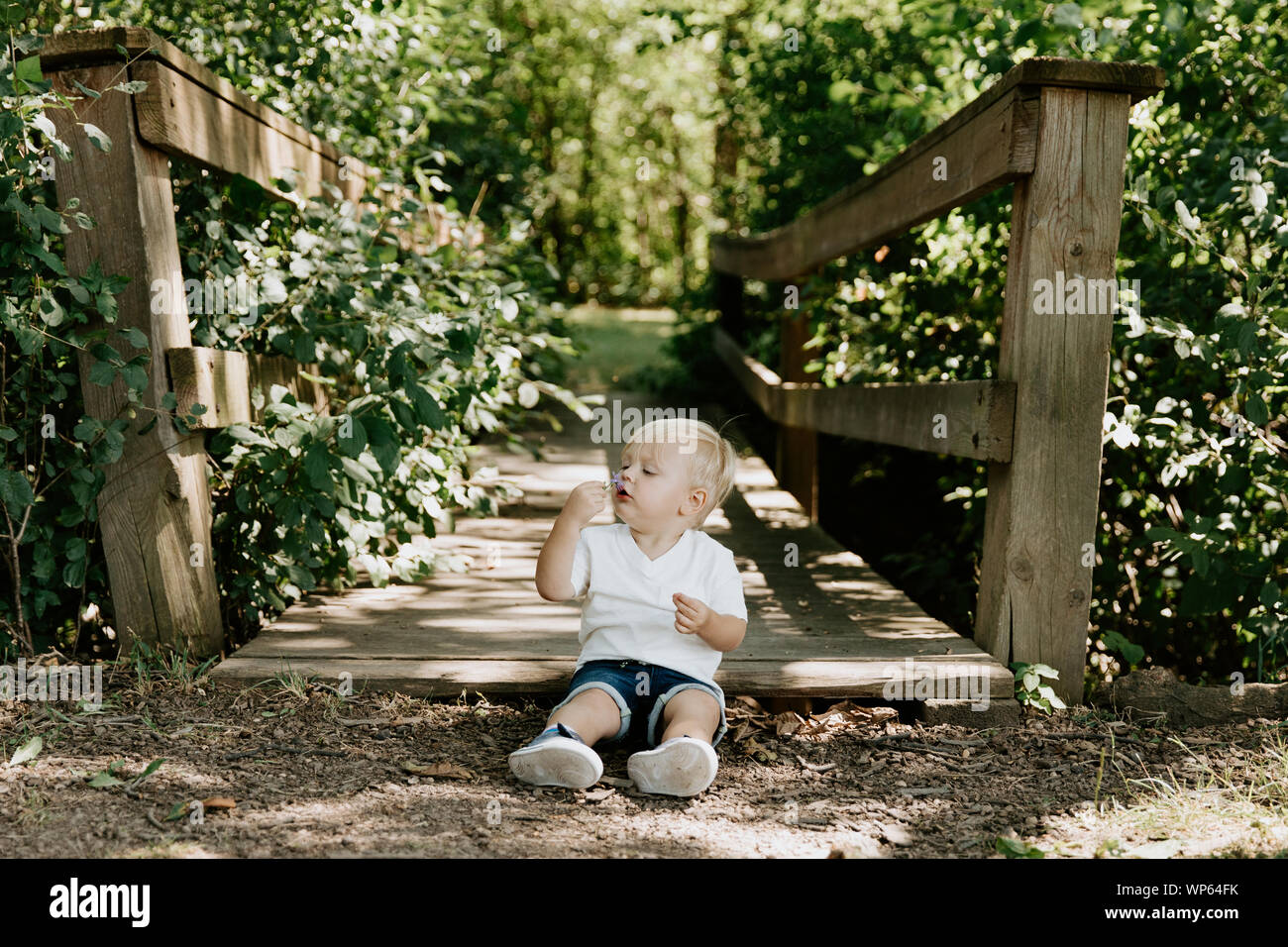 Süße kleine blonde Kind Junge Kind sitzen und Lachen vor der hölzernen Brücke über einen Bach im Park im Wald im Sommer Stockfoto