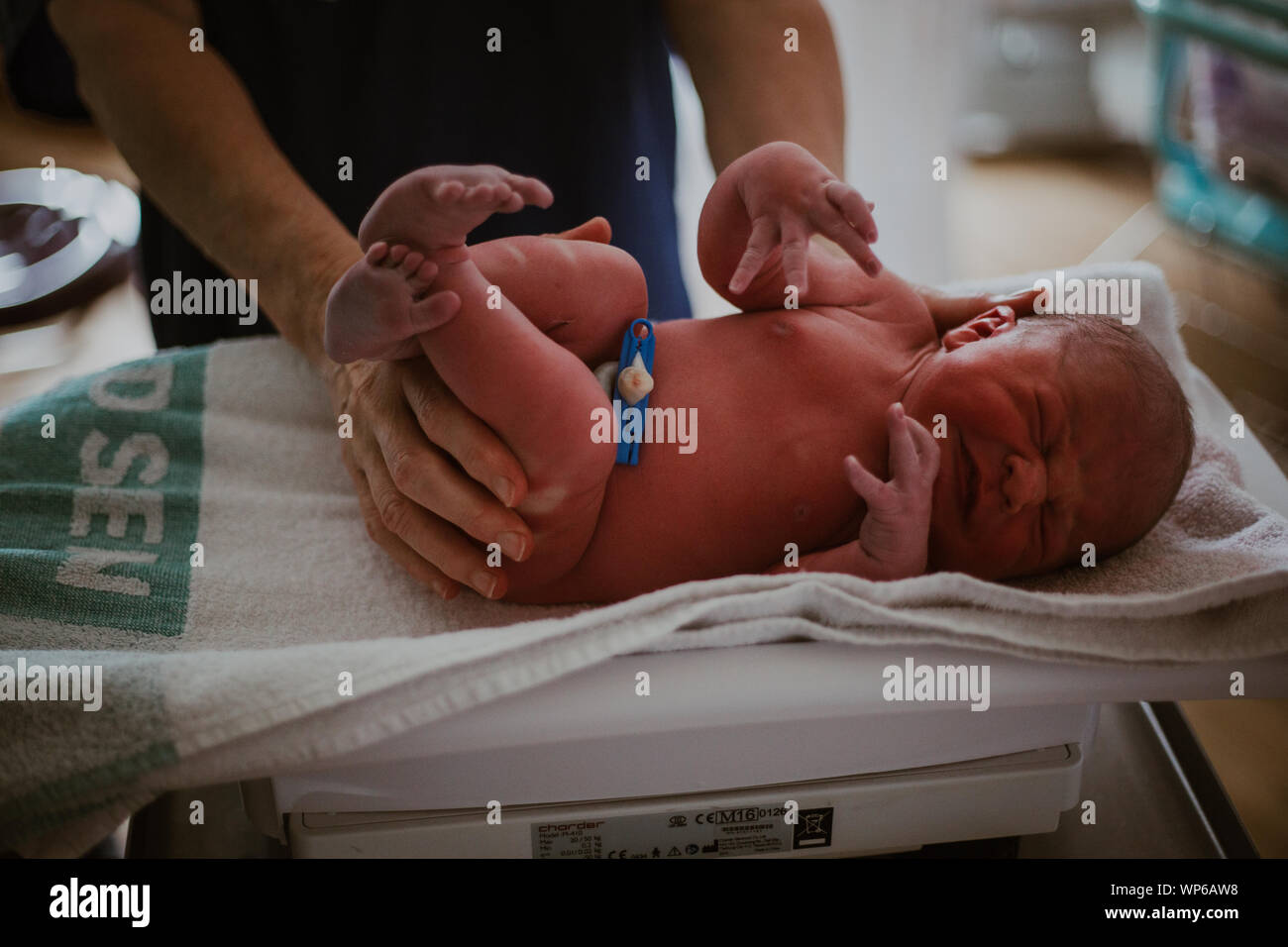 Authentische Geburt Bilder Neugeborenes Baby Wiegen Stockfotografie Alamy