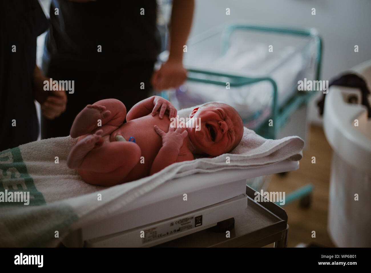 Authentische Geburt Bilder, neugeborenes Baby wiegen Stockfoto