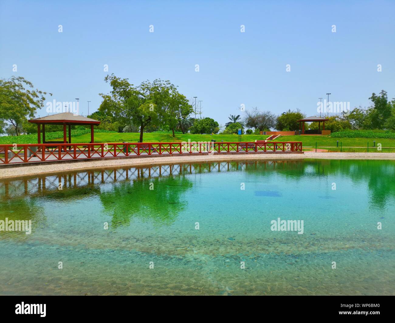 Lake Park mit gesättigten blau Himmel grün Natur Farben mit Gartensitzplatz Bänke Holzzaun Stockfoto