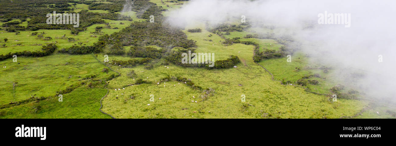 Luftbild von typischen vulkanischen caldeira Landschaft mit Vulkan kegel Planalto da Achada Hochebene im Zentrum der Insel Ilha do Pico, Azoren Stockfoto