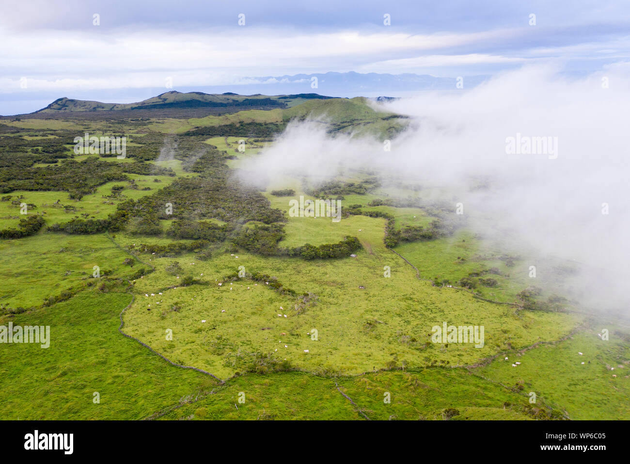 Luftbild von typischen vulkanischen caldeira Landschaft mit Vulkan kegel Planalto da Achada Hochebene im Zentrum der Insel Ilha do Pico, Azoren Stockfoto