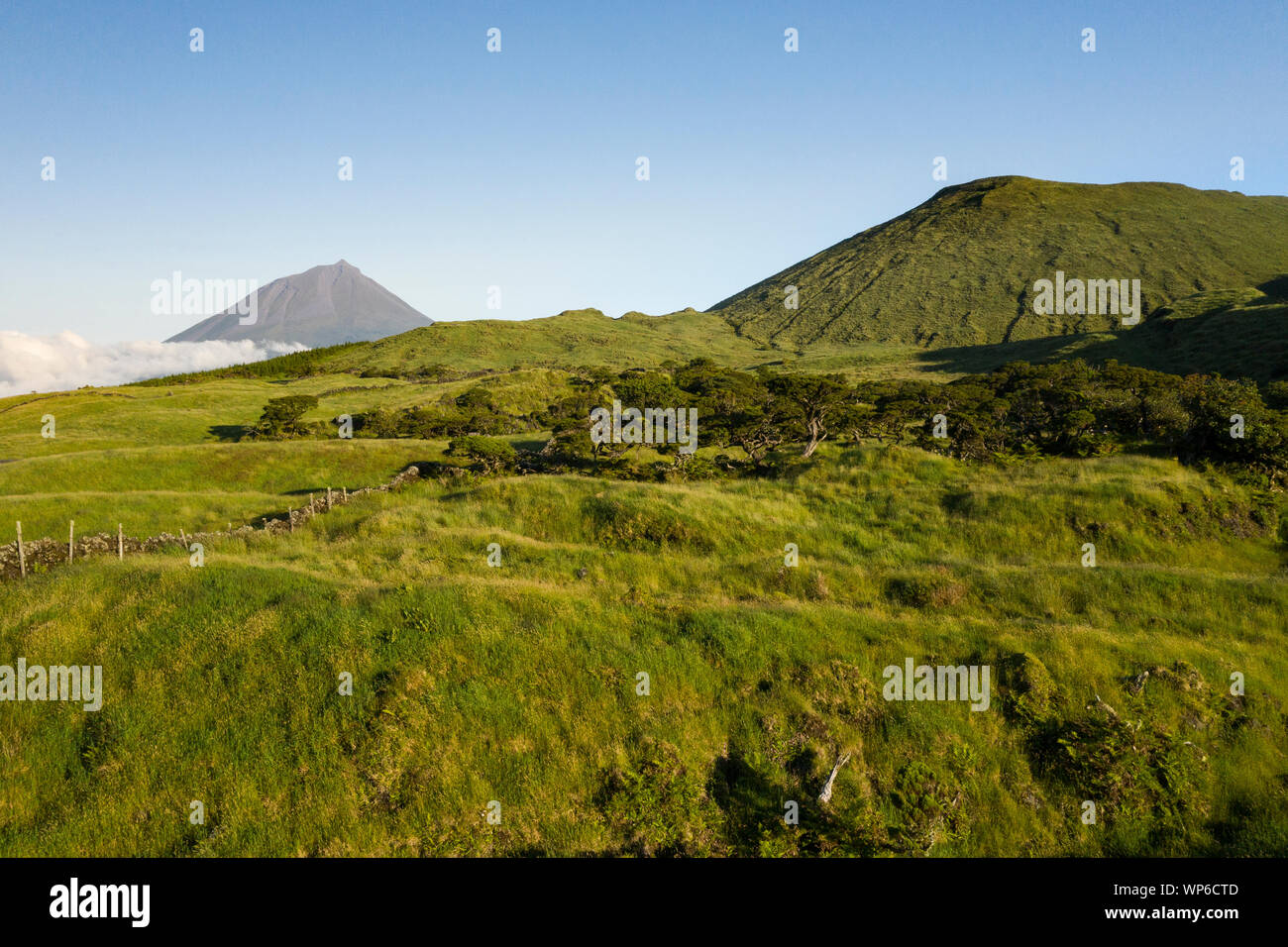 Luftbild von typischen vulkanischen caldeira Landschaft mit Vulkan kegel Planalto da Achada Central Plateau der Ilha do Pico Insel, Portugal Stockfoto