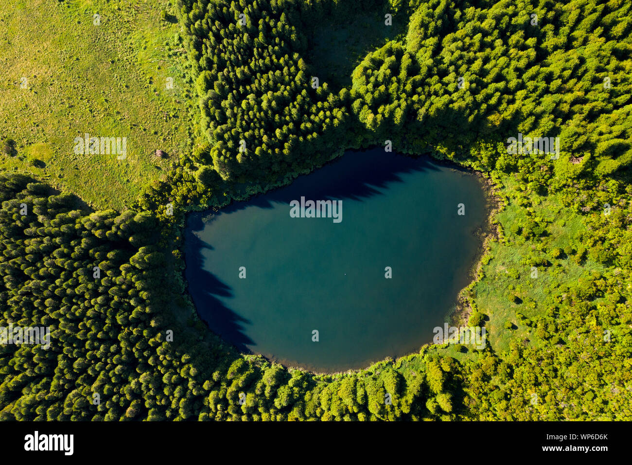 Antenne Draufsicht von Lagoa Seca auf Ilha do Pico Insel, einem vulkanischen Krater Caldeira im Planalto da achada Mittelland, Azoren Stockfoto