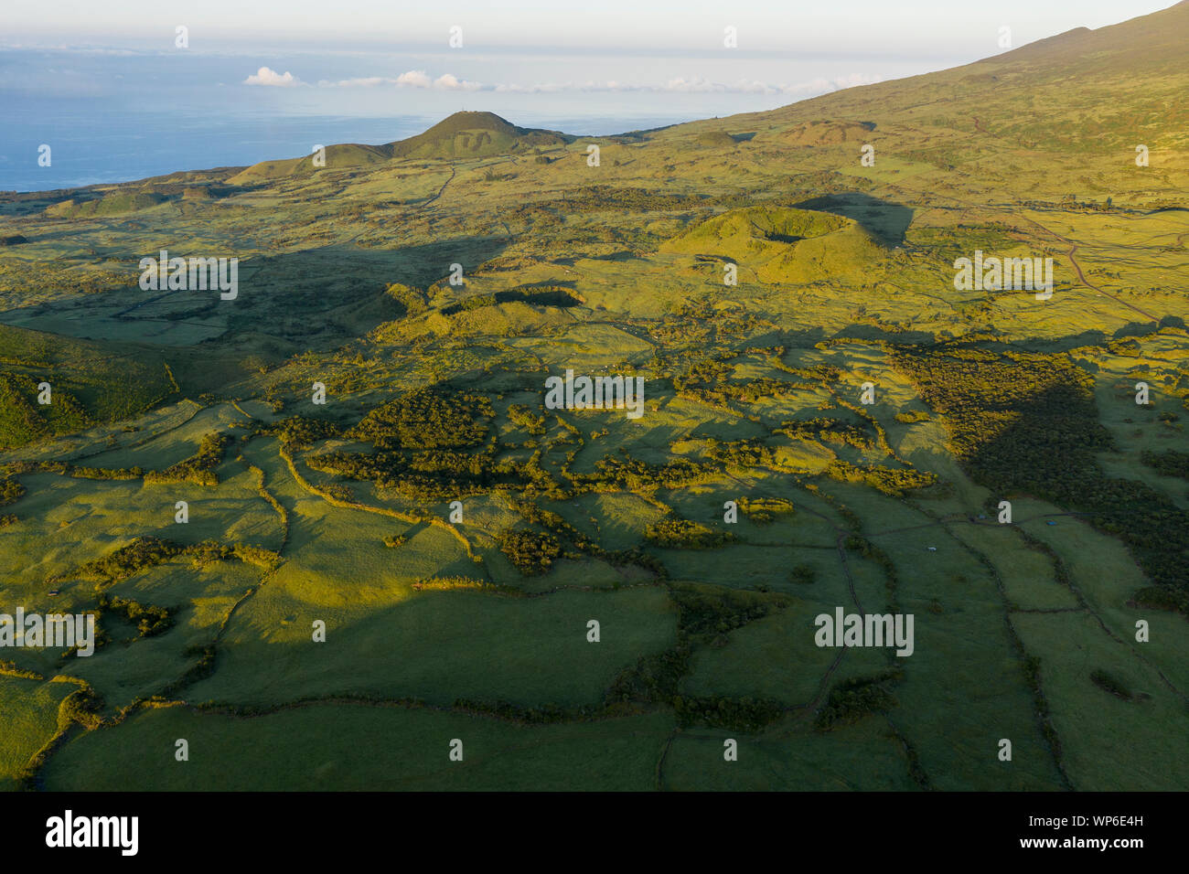 Luftbild der typische grüne vulkanische Caldera Krater Landschaft mit Vulkan kegel Planalto da Achada Hochebene im Zentrum der Insel Ilha do Pico, Azoren Stockfoto