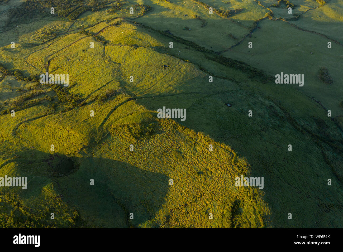 Luftbild der typische grüne vulkanische Caldera Krater Landschaft mit Vulkan kegel Planalto da Achada Hochebene im Zentrum der Insel Ilha do Pico, Azoren Stockfoto