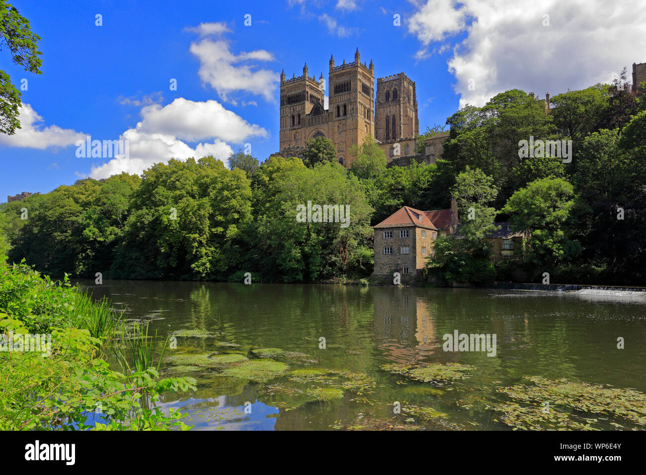 Durham Cathedral über dem Fluss Wear und der alten Fulling Mill, ein UNESCO-Weltkulturerbe, Durham, County Durham, England, UK. Stockfoto