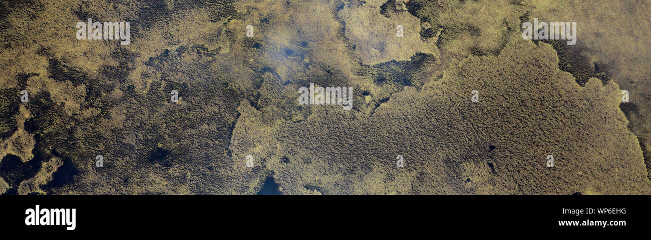 Antenne abstraktes Bild von Wasser und Algen Muster bei Lagoa Branca caldera Crater Lake auf der Azoren Insel Ilha das Flores, Portugal Stockfoto