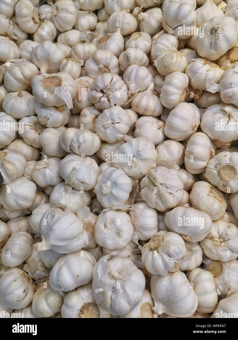 Rohen KNOBLAUCH BAUER STORE WEISSE GEMÜSE GEKLEIDET Stockfoto