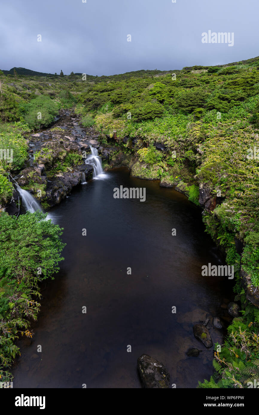 Landschaft mit Stream und kleinen Wasserfällen auf der Oberseite der Poço Ribeira do Ferreiro bei Fajã Grande und Fajãzinha, Azoren, Portugal Stockfoto