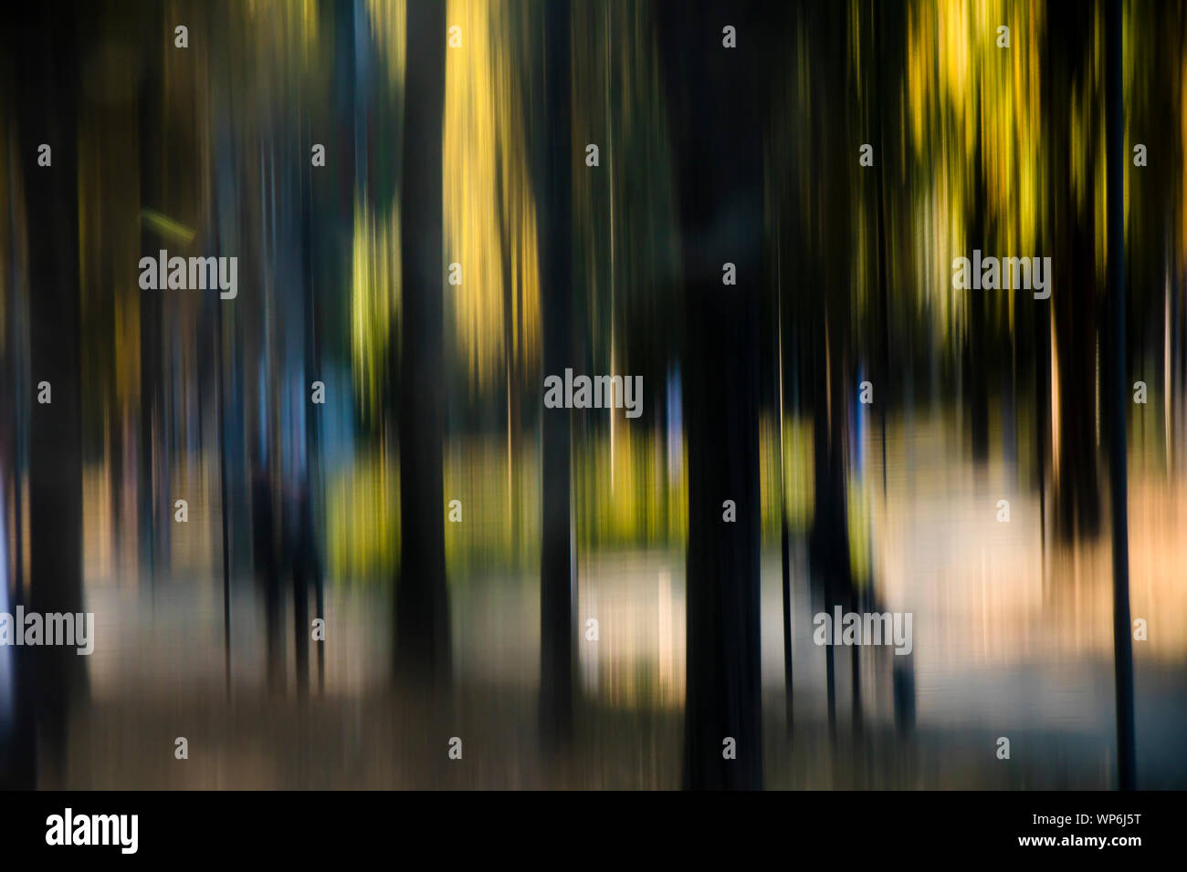 Verschwommen verzerrt die Bäume und die Menschen in den Park, Landschaft traumhafte Detail Stockfoto