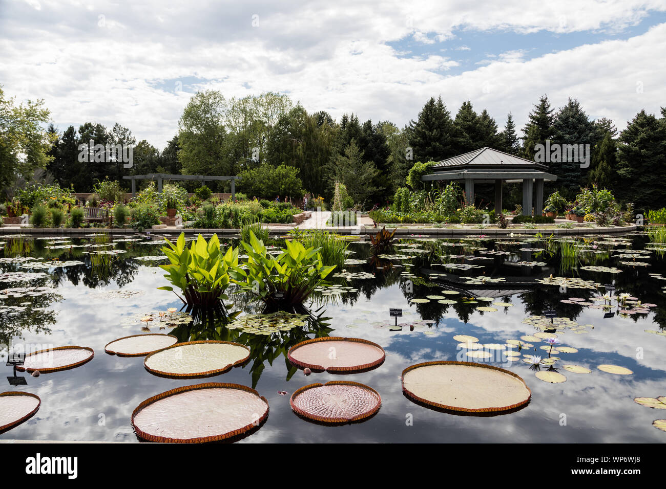 Lagune in der Shofu-en Japanischer Garten (Garten von Kiefern und Wind in Englisch) an der Denver Botanic Gardens in Denver, Colorado Stockfoto