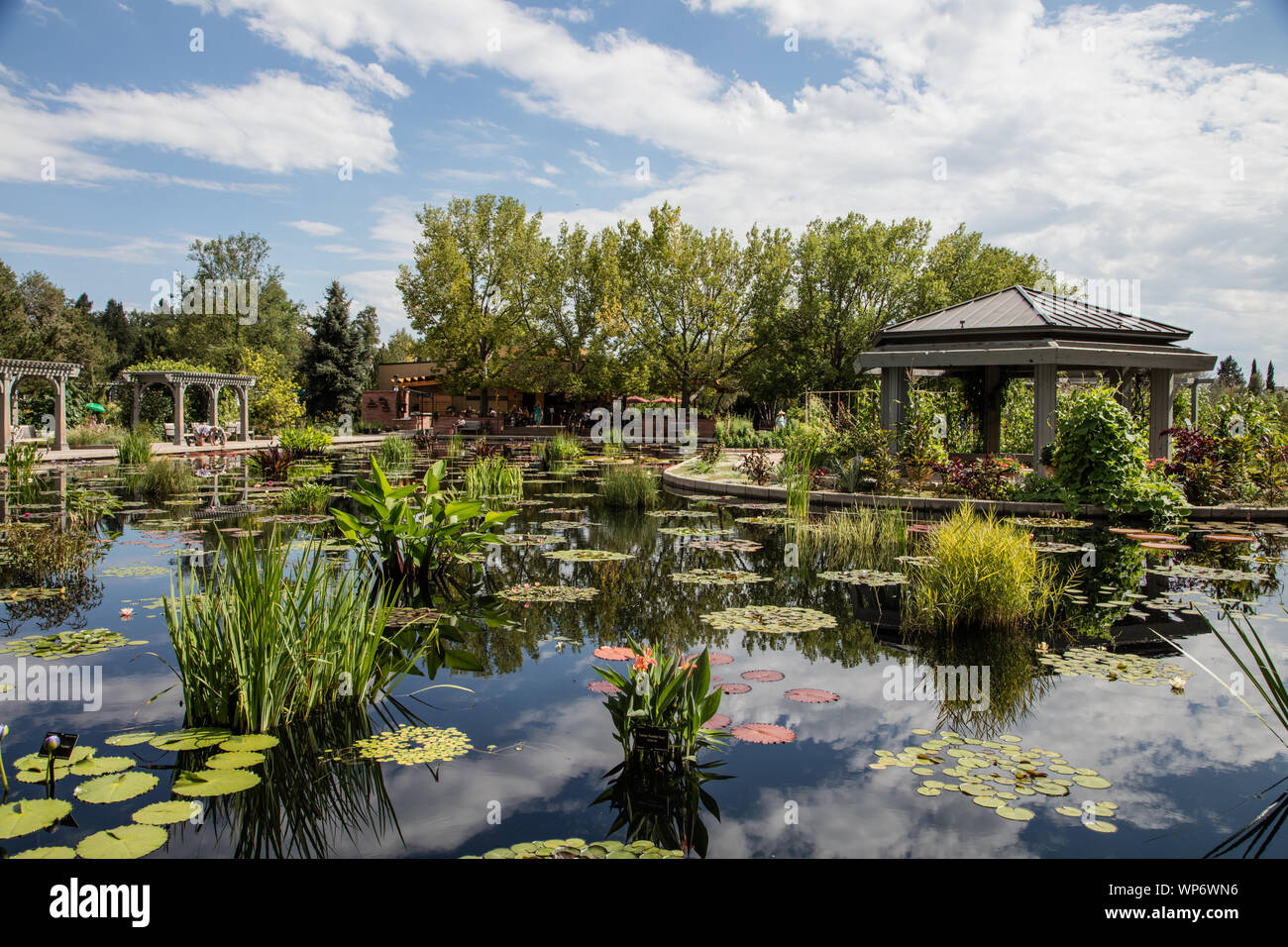 Lagune in der Shofu-en Japanischer Garten (Garten von Kiefern und Wind in Englisch) an der Denver Botanic Gardens in Denver, Colorado Stockfoto