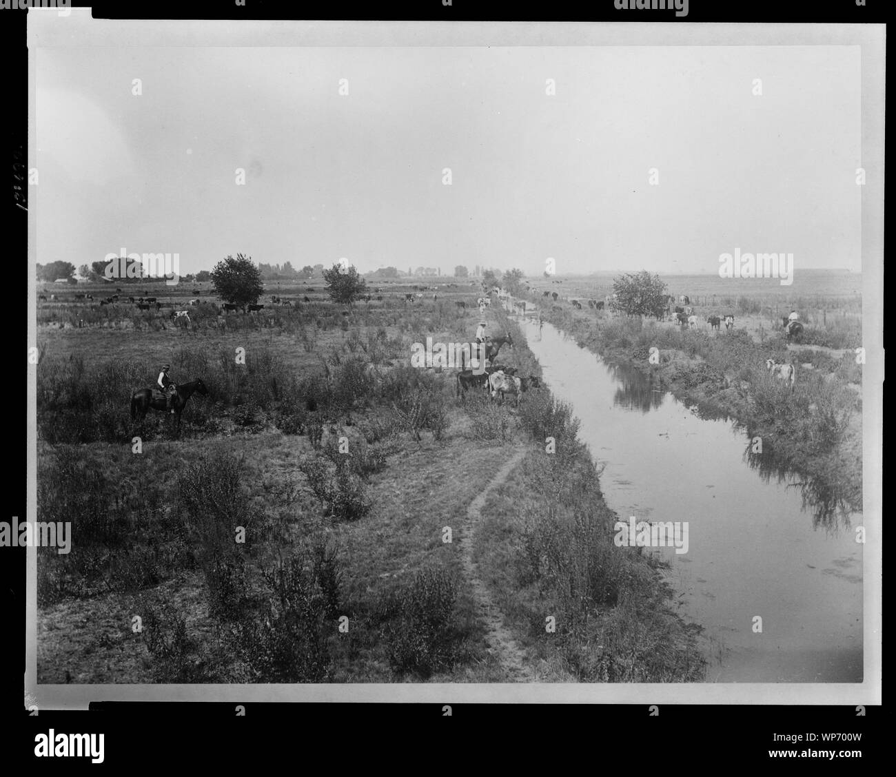 Lakeside Ranch eine natürliche Weide. Stockfoto