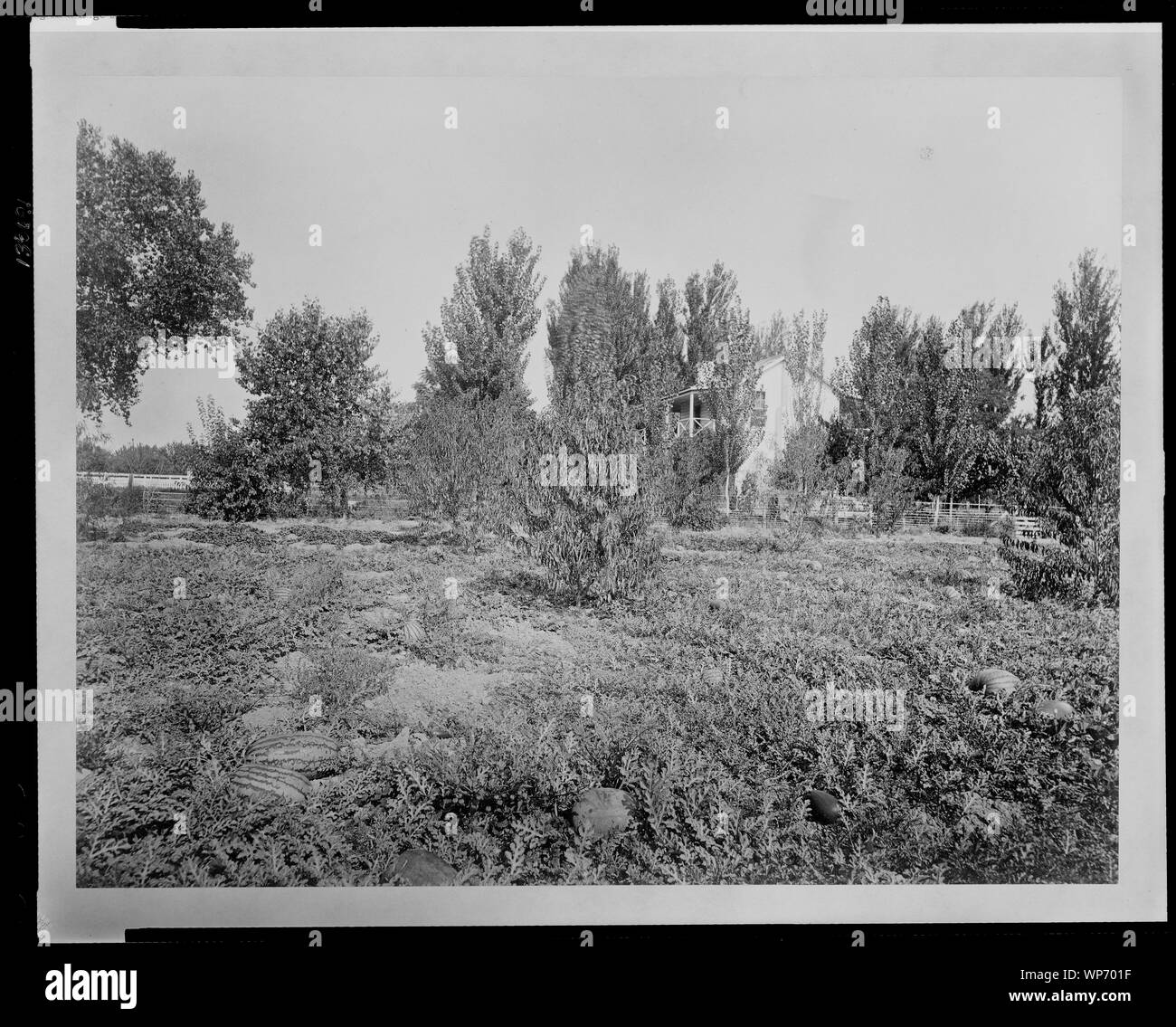 Lakeside Ranch des Betriebsleiter home, West End. Stockfoto