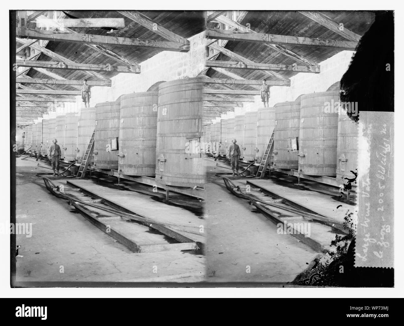 Große Wein Bottiche in Richon le Zion Stockfoto