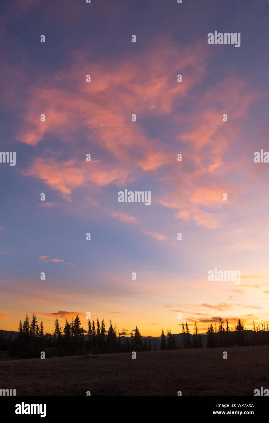 Sonnenuntergang Wolken, sonnigen Pass, 7200', Pasayten Wüste, Washington Stockfoto