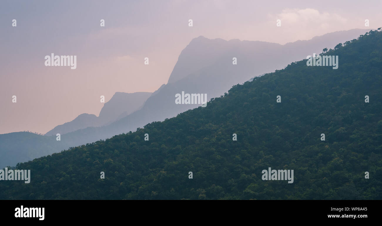Kardamom Hills an der Grenze Kerala und Tamil Nadu. Einen Teil des südlichen Westghats/Südindien. An der Straße von Kochi und Munnar nach Madurai. Stockfoto