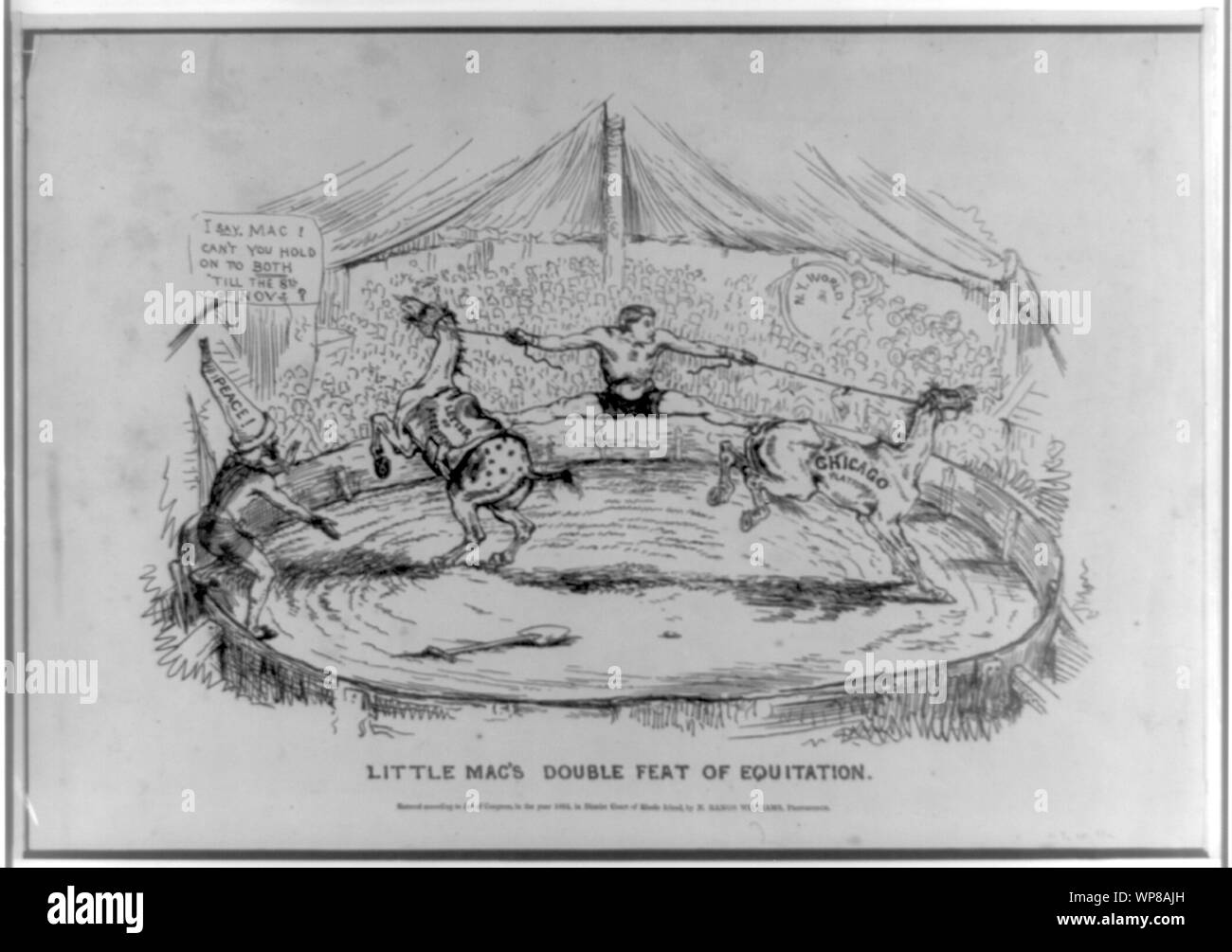 Little Mac doppelte Kunststück der Reitkunst Stockfoto