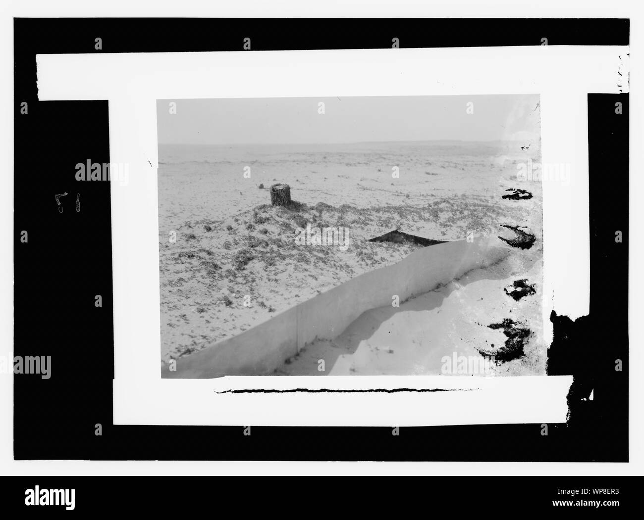 Heuschreckenplage, Wand- und Trap Stockfoto