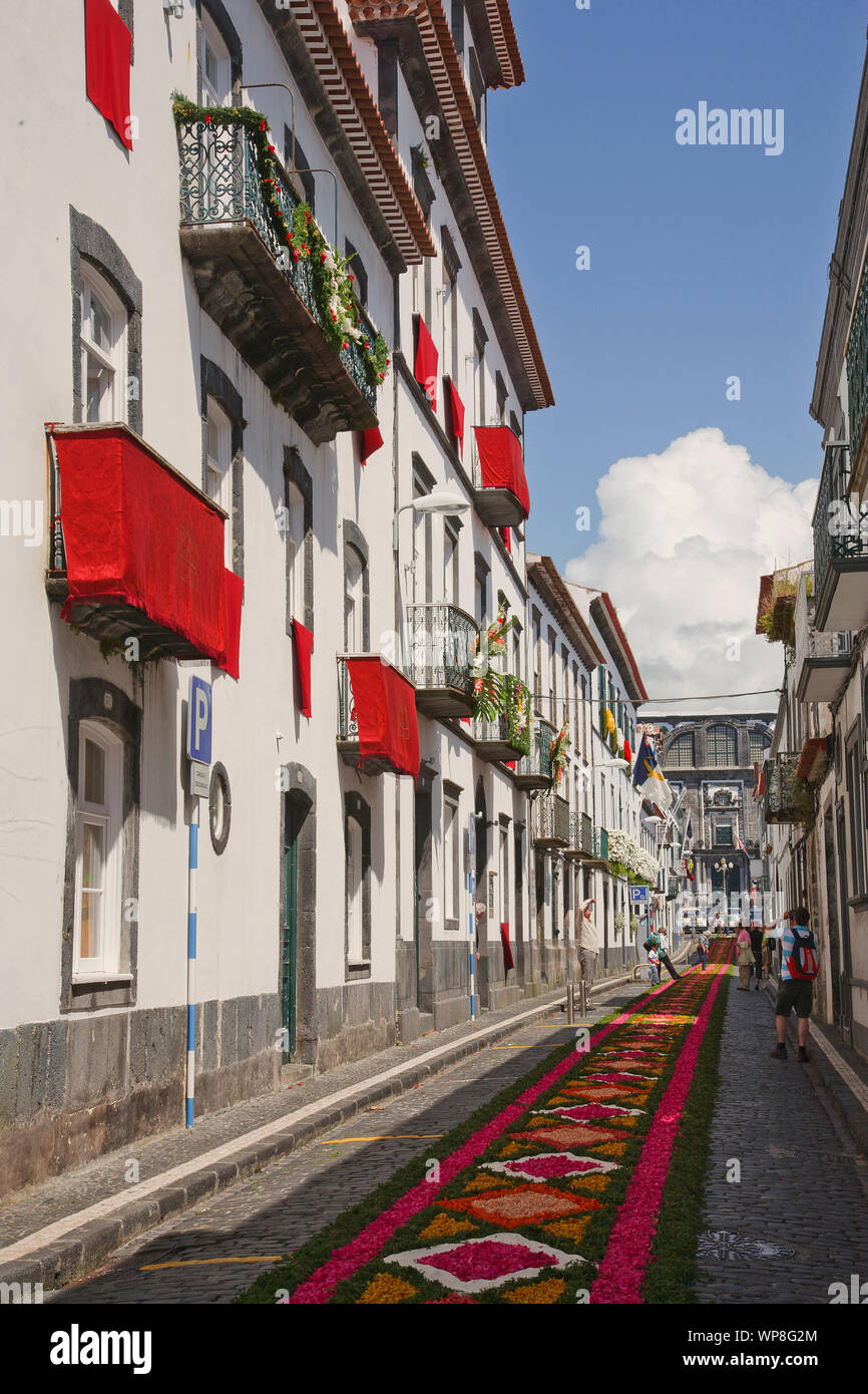 Straße in Ponta Delgada mit blume Teppich während Santo Cristo dos Milagres religiösen Feierlichkeiten dekoriert. Azoren, Portugal. Stockfoto