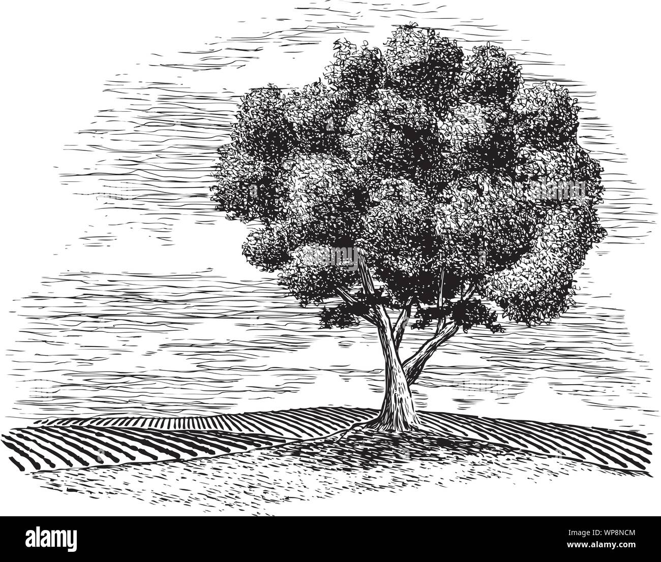 Holzschnitt Illustration einer ländlichen Landschaft mit einem Baum im Vordergrund. Stock Vektor