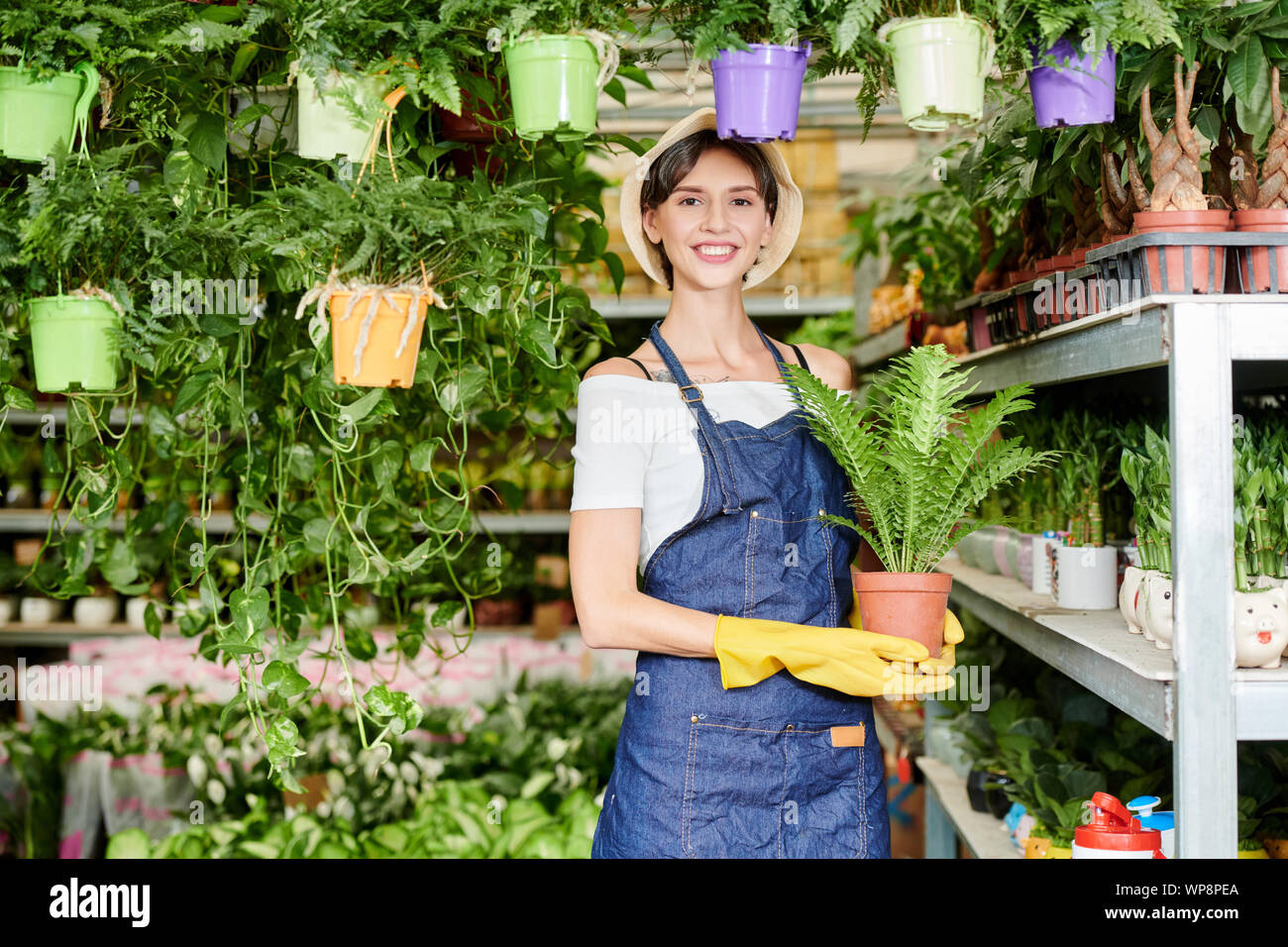 Portrait von hübschen weiblichen Gewächshaus Arbeiter in der blauen Schürze und Gummihandschuhe holding Topf mit Anlage Stockfoto