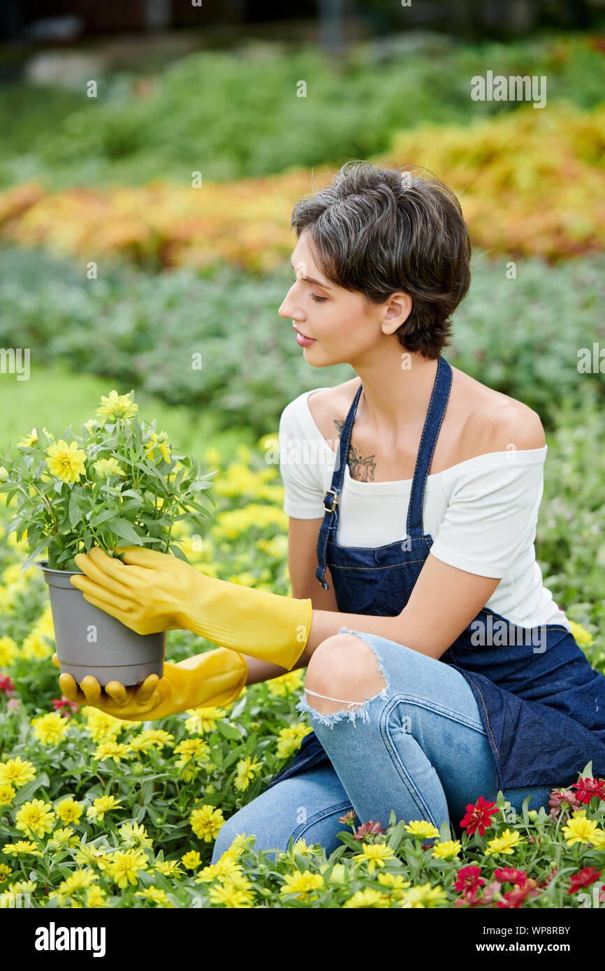 Hübsche Frau, die Spaß an der Arbeit in Ihrem gadgen und heraus stechen blühenden Blumen aus Töpfen Stockfoto