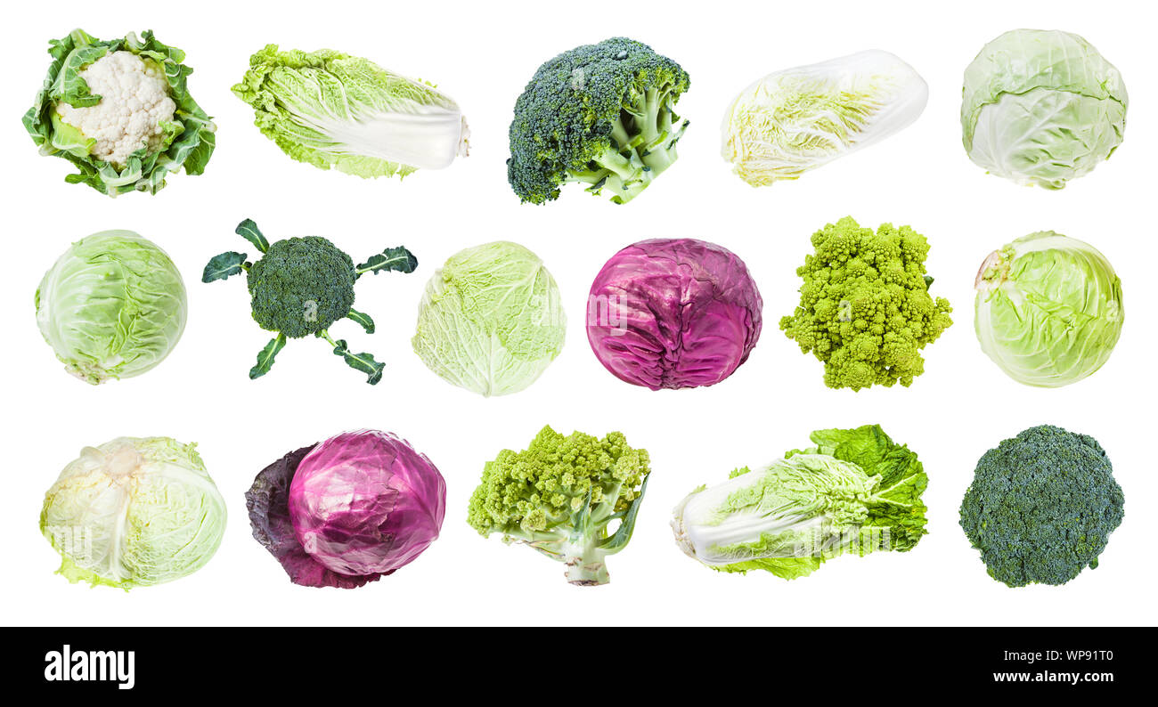 Viele verschiedene Kopfkohl (Romanesco, Brokkoli, Blumenkohl, Weißkohl, Rotkohl, Napa, Kohl, Wirsing, usw.) isoliert auf weißem backgr Stockfoto