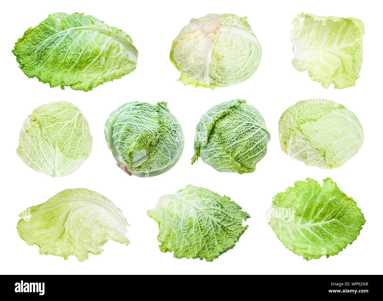 Verschiedene Blätter und Köpfe von Savoyen Kopfkohl auf weißem Hintergrund Stockfoto