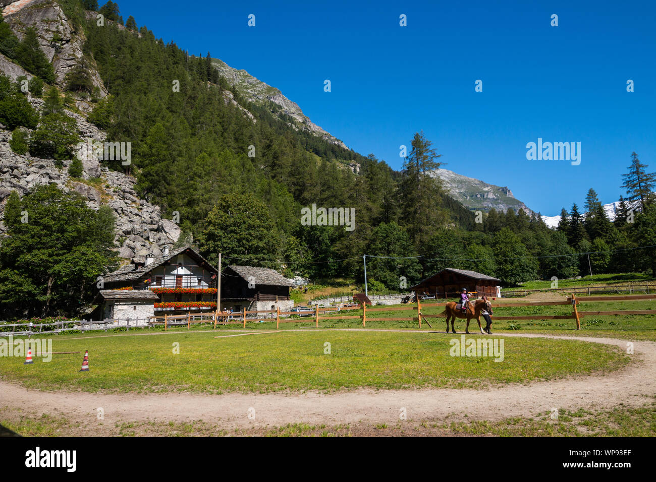 Blicke von Gressoney, Aosta, Aostatal, Italien Stockfoto